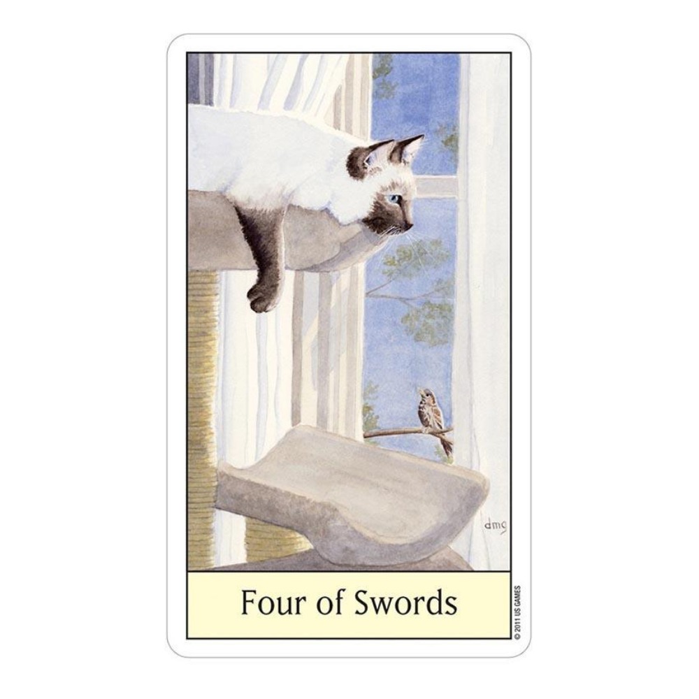 Tarot Deck With Guidebook - Giochi di carte Tarocchi Cats Eye