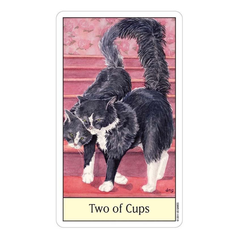 Giochi di carte Tarocchi Cats  - Tarot Deck With Guidebook recensione e prezzo